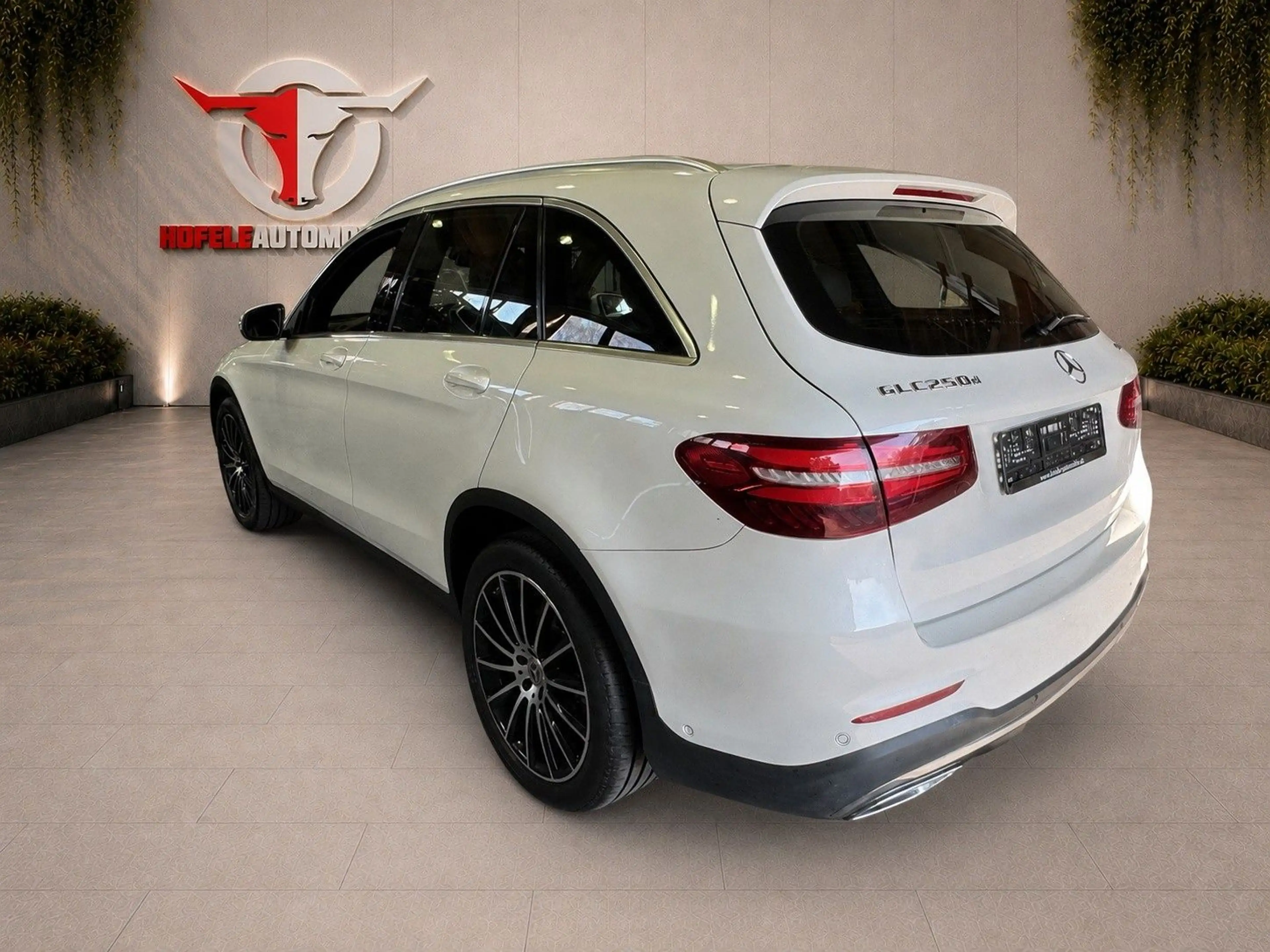 Mercedes-Benz GLC 250 d 4Matic*AMG/LED/AHK/TEMPO* — photo 4