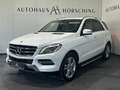 Mercedes-Benz ML 350 BlueTEC 4MATIC A-Edition Aut. Weiß - thumbnail 3