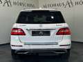 Mercedes-Benz ML 350 BlueTEC 4MATIC A-Edition Aut. Weiß - thumbnail 5
