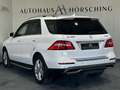 Mercedes-Benz ML 350 BlueTEC 4MATIC A-Edition Aut. Weiß - thumbnail 6