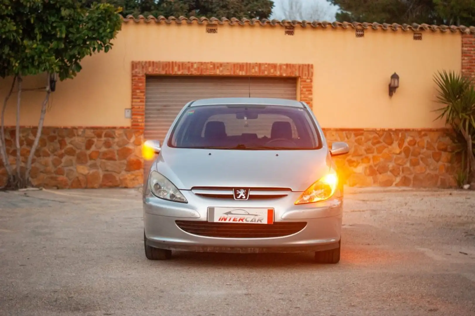 Peugeot 307 1.6 XS Gris - 2
