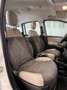 Fiat Panda Panda 1.3 MJT 95 CV S&S Trekking Weiß - thumbnail 9