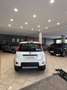 Fiat Panda Panda 1.3 MJT 95 CV S&S Trekking Weiß - thumbnail 5