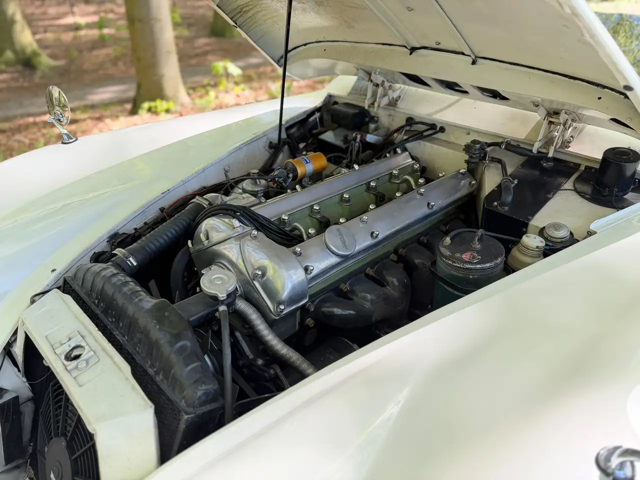 Jaguar XK 150 Drophead Coupe matching numbers, foto 5