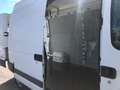 Renault Master T35/120 2.5 dCi PM-TA Fur.Vtr.Ice Blanc - thumbnail 9
