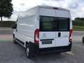 Citroen Jumper l2h2 22hdi 2021 63000km airco/cruis/ 14950e ex Blanc - thumbnail 13