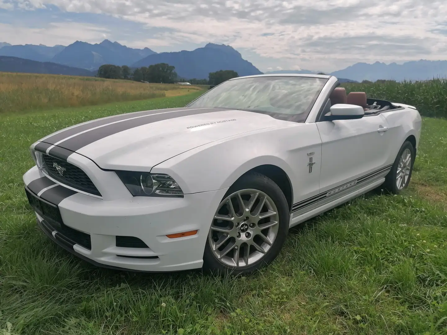 Ford Mustang Mustang 3,7 Cabrio Aut. Weiß - 1