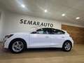 Ford Focus 1.5Ecoblue Trend+ 120 Weiß - thumbnail 24