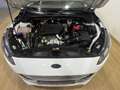 Ford Focus 1.5Ecoblue Trend+ 120 Weiß - thumbnail 20