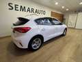 Ford Focus 1.5Ecoblue Trend+ 120 Weiß - thumbnail 3
