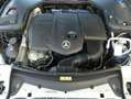 Mercedes-Benz E 220 9G-Tronic,Cabrio,Leder Nappa,ACC,Kamera Noir - thumbnail 21