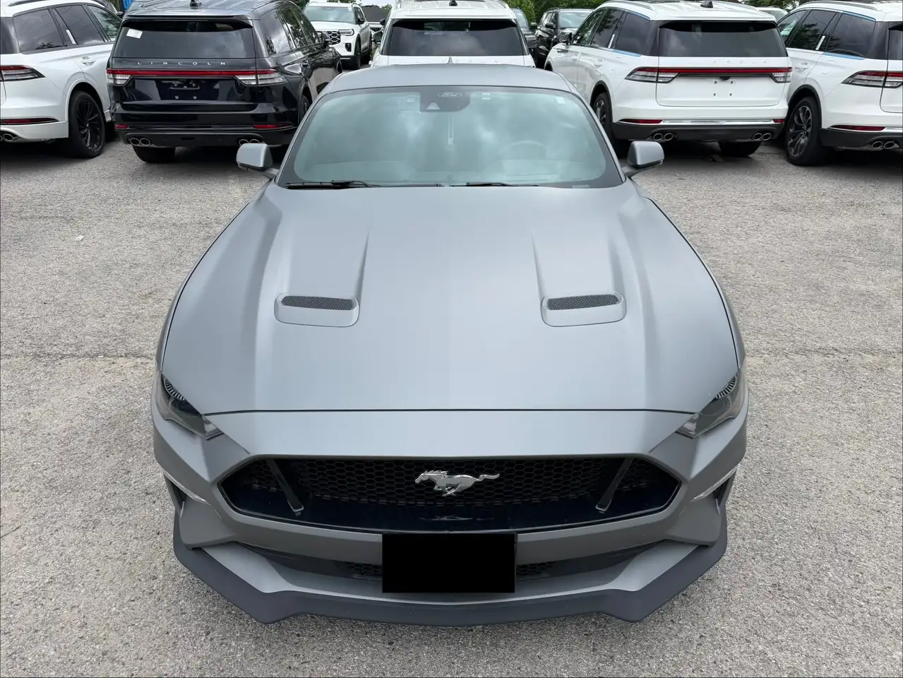 Ford Mustang photo Ford Mustang