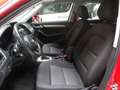Audi Q3 2.0 TDI 150 CV Quattro S Tronic Business NAVI Rosso - thumbnail 4