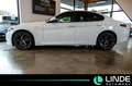 Alfa Romeo Giulia Veloce Q4|LEDER|NAVI|PANO.|H K|SHZ|19 ALU Weiß - thumbnail 4
