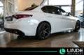 Alfa Romeo Giulia Veloce Q4|LEDER|NAVI|PANO.|H K|SHZ|19 ALU Weiß - thumbnail 5