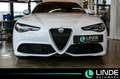 Alfa Romeo Giulia Veloce Q4|LEDER|NAVI|PANO.|H K|SHZ|19 ALU Weiß - thumbnail 7