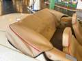 Jaguar XJS XJS V12  - ONLINE AUCTION Blanco - thumbnail 31