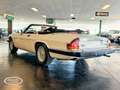Jaguar XJS XJS V12  - ONLINE AUCTION Blanco - thumbnail 7