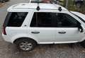 Land Rover Freelander Freelander II 2011 2.2 td4 S 150cv Bianco - thumbnail 9