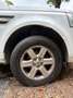 Land Rover Freelander Freelander II 2011 2.2 td4 S 150cv Bianco - thumbnail 4