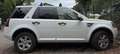 Land Rover Freelander Freelander II 2011 2.2 td4 S 150cv Bianco - thumbnail 6