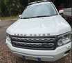 Land Rover Freelander Freelander II 2011 2.2 td4 S 150cv Bianco - thumbnail 10