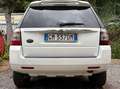 Land Rover Freelander Freelander II 2011 2.2 td4 S 150cv Bianco - thumbnail 7