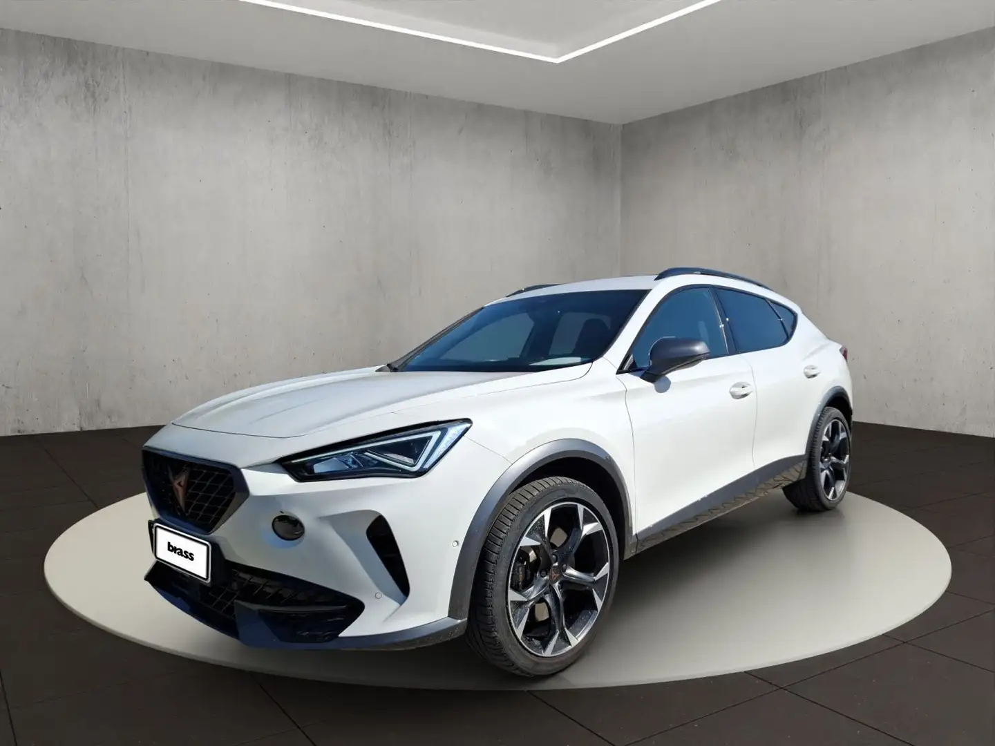 CUPRA Formentor VZ 2.0 TSI Rückfahrkamera elekt. Sitze Weiß - 1