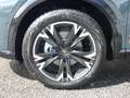 CUPRA Formentor FORMENTOR 2.0 TSI  DSG 4DRIVE 5 J. GAR.* AHZV Bleu - thumbnail 4
