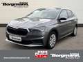 Skoda Fabia Active 1,0 Bluetooth - LED - Bordcomputer - Isofix Grigio - thumbnail 1