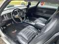 Pontiac Trans Am - thumbnail 12