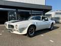 Pontiac Trans Am - thumbnail 24