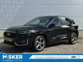 Ford Kuga 2.5 PHEV ST-Line X TECHPACK! WINTERPACK! Noir - thumbnail 1