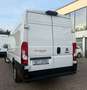Fiat Ducato 2.2 HDI Kasten*L4H2 Klima*Kamera*Tempomat Weiß - thumbnail 9