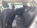 Ford EcoSport 1.5 TDCi 95 CV Titanium Gris - thumbnail 20