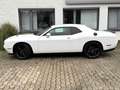 Dodge Challenger 3,6 Kamera CarPlay Leder 20 Zoll Weiß - thumbnail 5