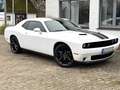 Dodge Challenger 3,6 Kamera CarPlay Leder 20 Zoll Weiß - thumbnail 1