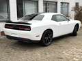 Dodge Challenger 3,6 Kamera CarPlay Leder 20 Zoll Weiß - thumbnail 8