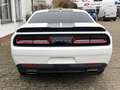 Dodge Challenger 3,6 Kamera CarPlay Leder 20 Zoll Weiß - thumbnail 7