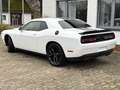 Dodge Challenger 3,6 Kamera CarPlay Leder 20 Zoll Weiß - thumbnail 6