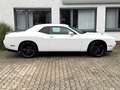 Dodge Challenger 3,6 Kamera CarPlay Leder 20 Zoll Weiß - thumbnail 4