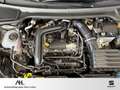 SEAT Ibiza 1.0 TSI FR DSG LED Navi ACC RFK PDC Grau - thumbnail 13