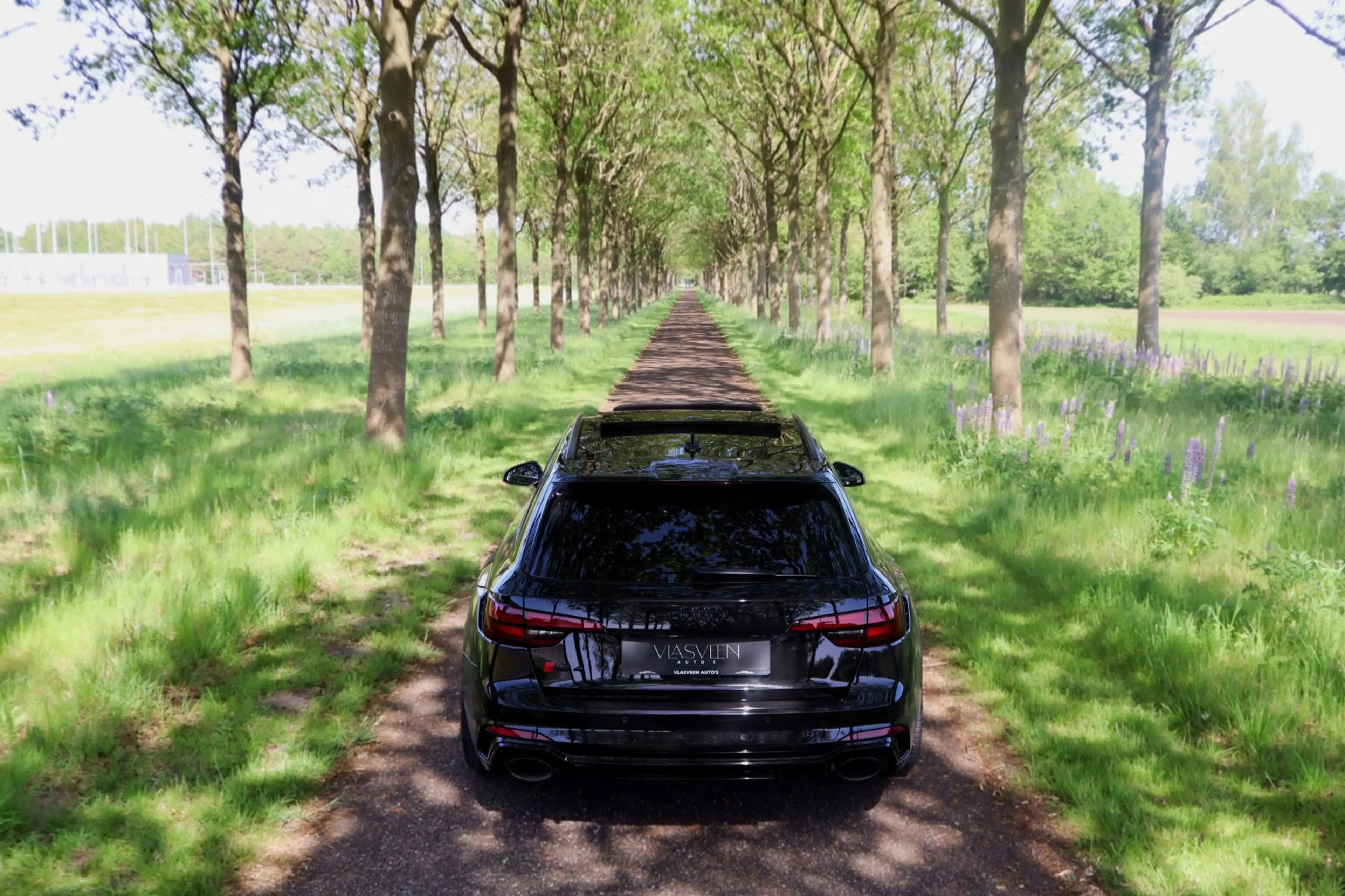 Audi RS4 A4 Avant 2.9 TFSI quattro B&O Panodak — photo 5