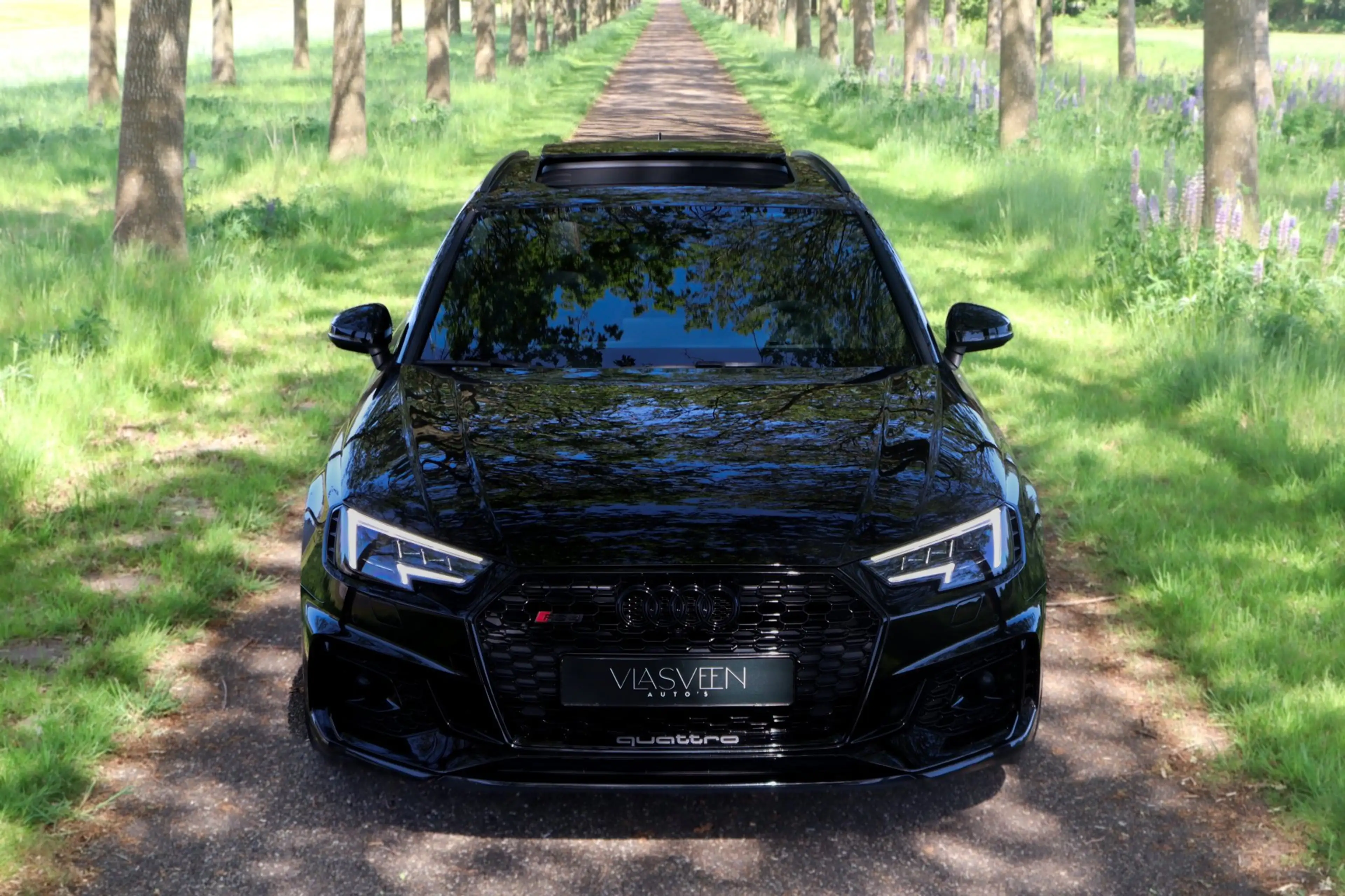 Audi RS4 A4 Avant 2.9 TFSI quattro B&O Panodak — photo 4