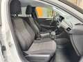 Opel Corsa 1.2T XHL S/S Edition 100 Weiß - thumbnail 19