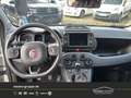Fiat Panda Cross Weiß - thumbnail 6