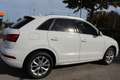 Audi Q3 2,0 TDI Intense quattro S-tronic Weiß - thumbnail 4