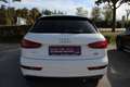 Audi Q3 2,0 TDI Intense quattro S-tronic Weiß - thumbnail 6