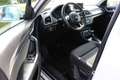Audi Q3 2,0 TDI Intense quattro S-tronic Weiß - thumbnail 11