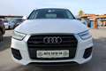 Audi Q3 2,0 TDI Intense quattro S-tronic Weiß - thumbnail 2